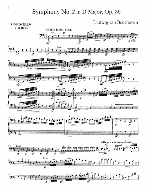 Cellos / Basses