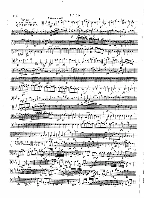 Viola