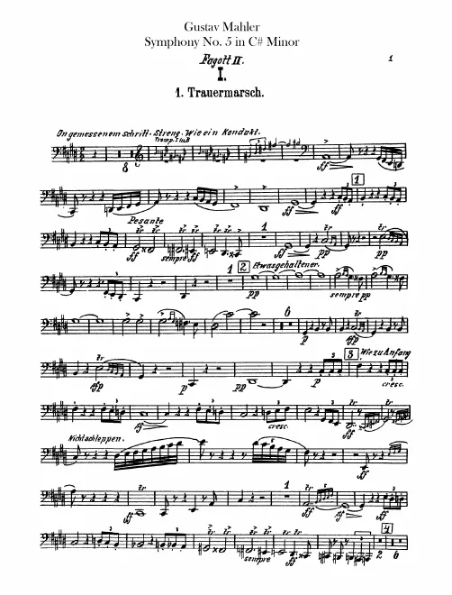 Bassoon 2