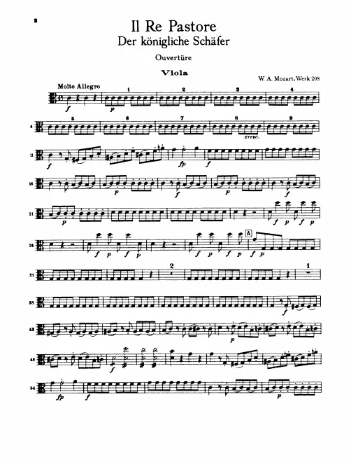 Violas