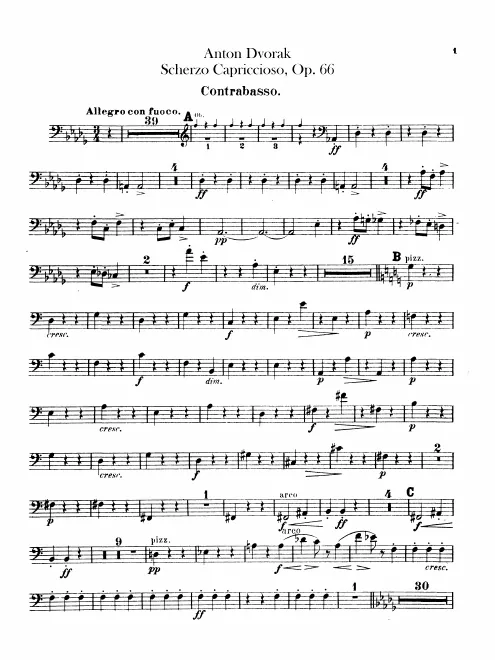 Basses