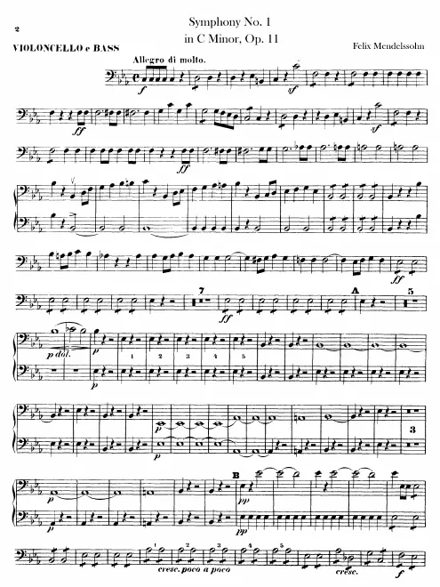 Cellos/Basses