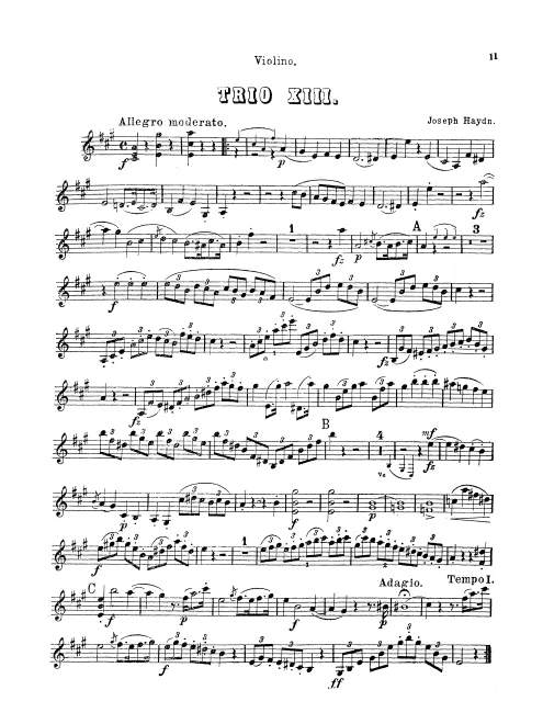 Violin