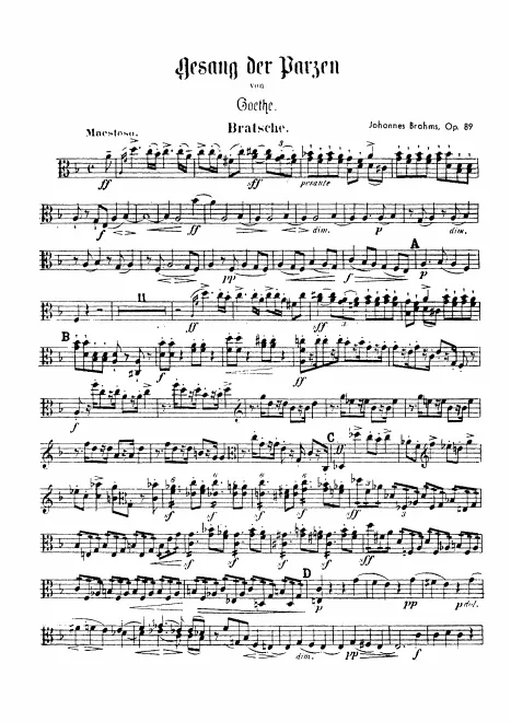 Violas