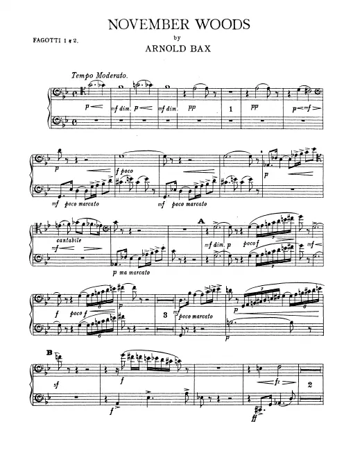 Bassoon 1/2, Contrabassoon