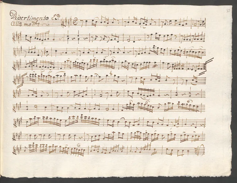 Viola