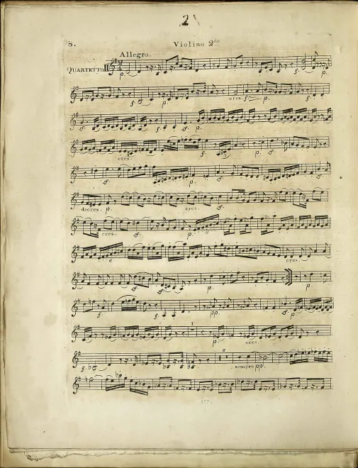 Violin 2