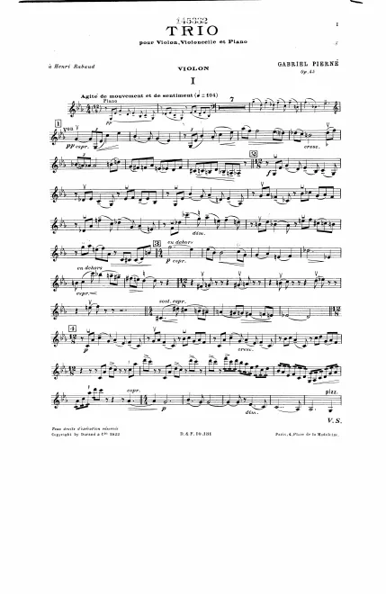 Violin