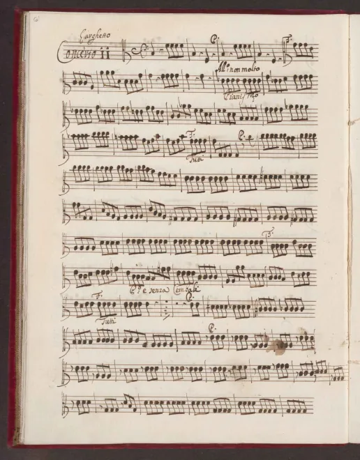 Violas