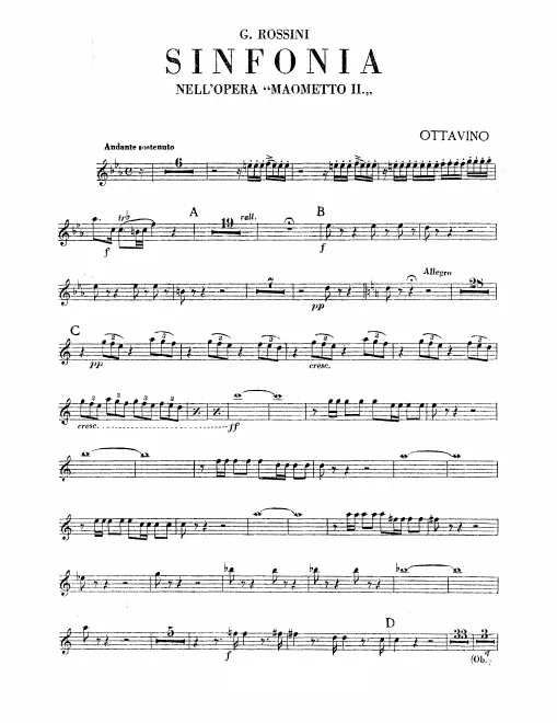 Piccolo, Flute
