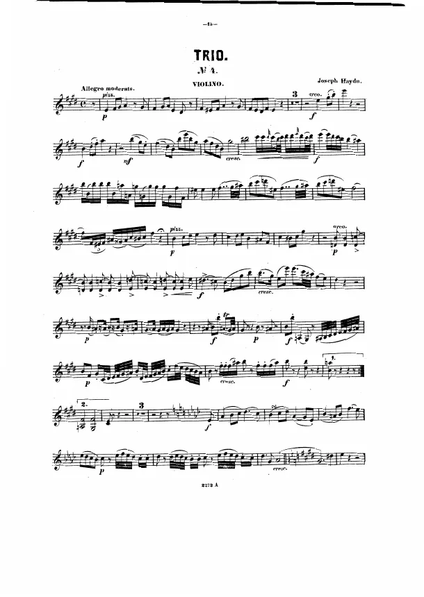Violin