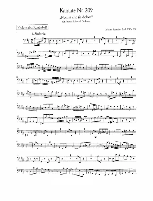 Cellos/Basses