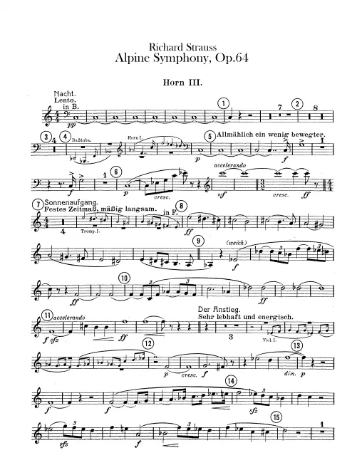Horn 3 (F)