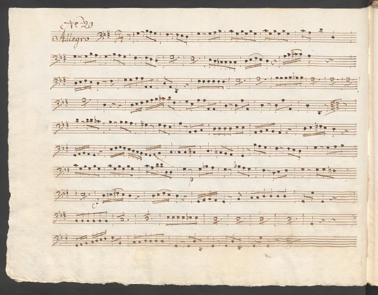 Cello