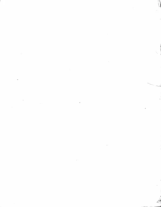 Violin 2