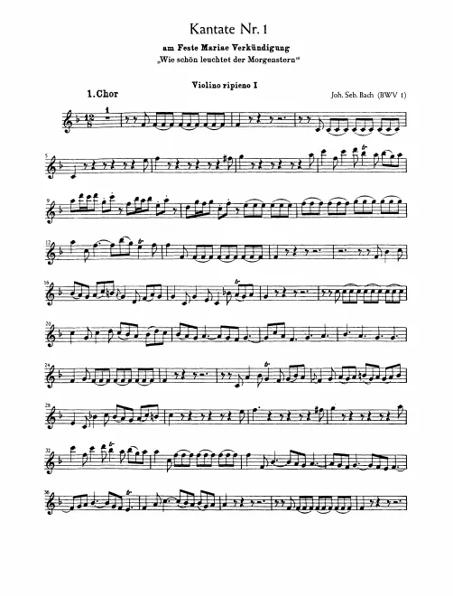 Violins I (ripieno)
