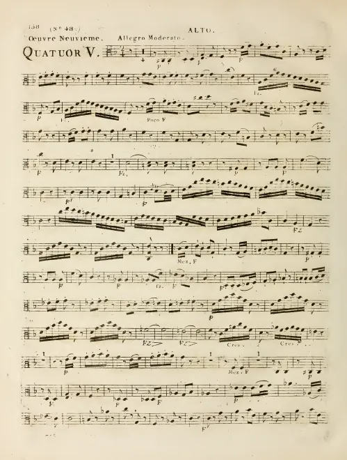 Viola