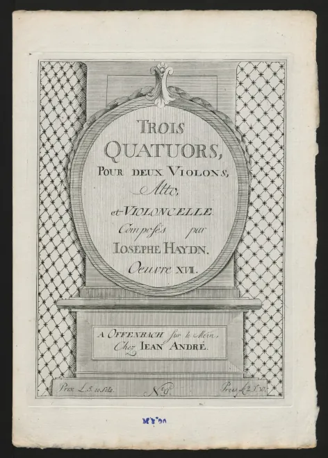 Viola