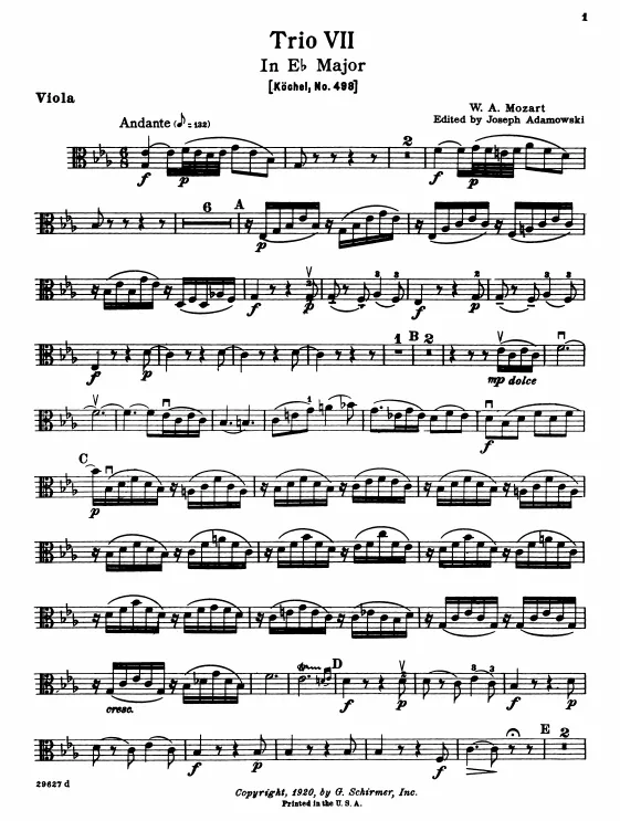 Viola
