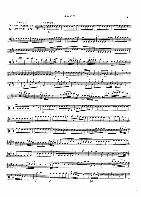 Viola