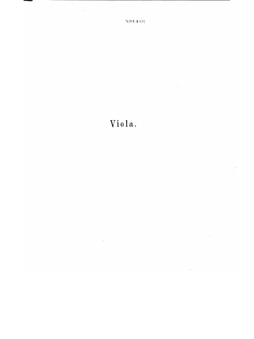 Viola
