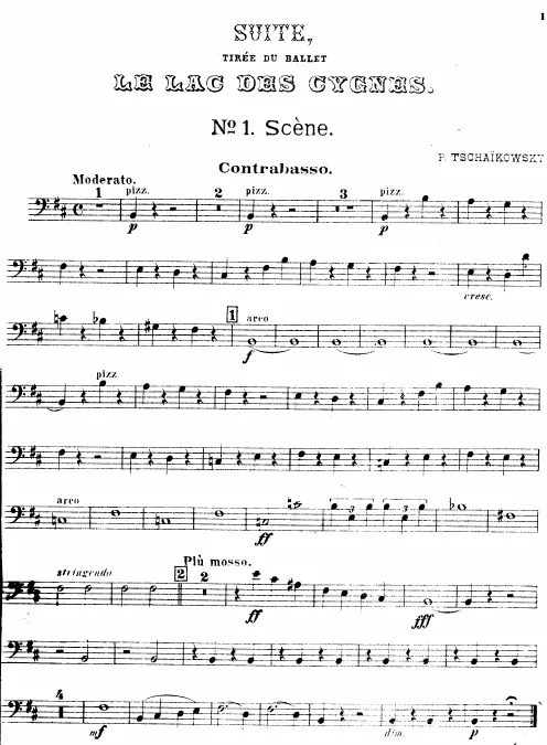 Basses