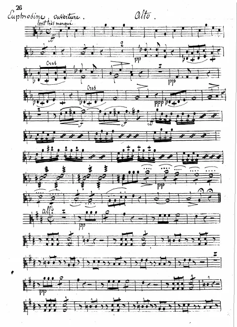 Violas