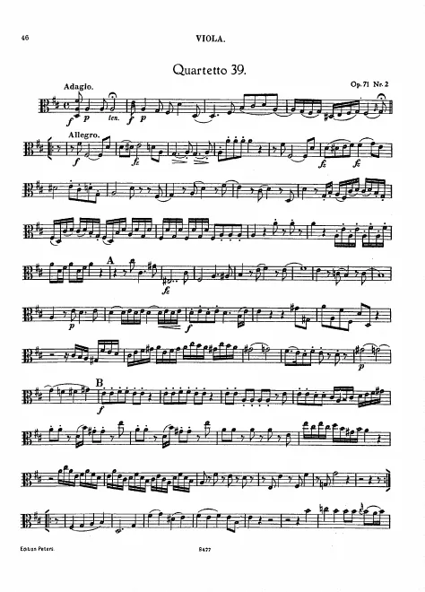 Viola