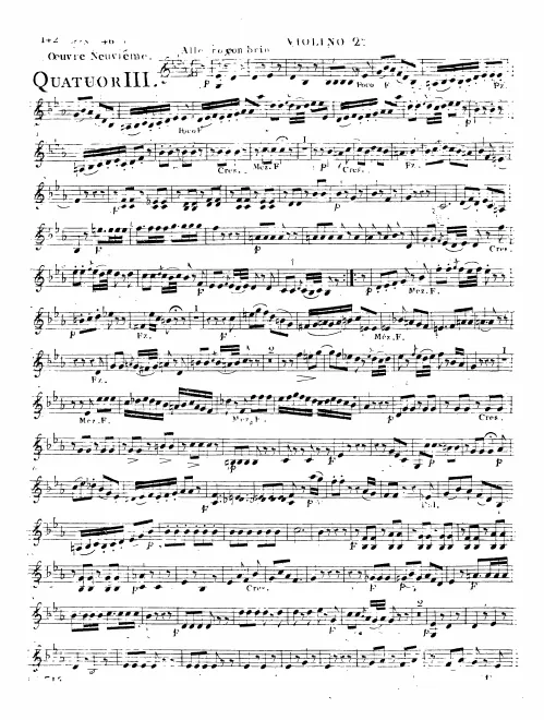 Violin 2