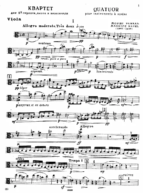 Viola