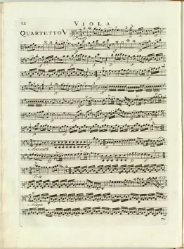 Viola