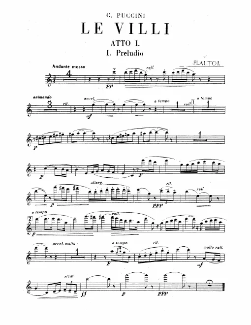 Flute 1
