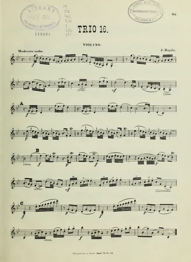 Violin