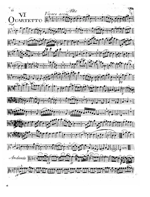 Viola