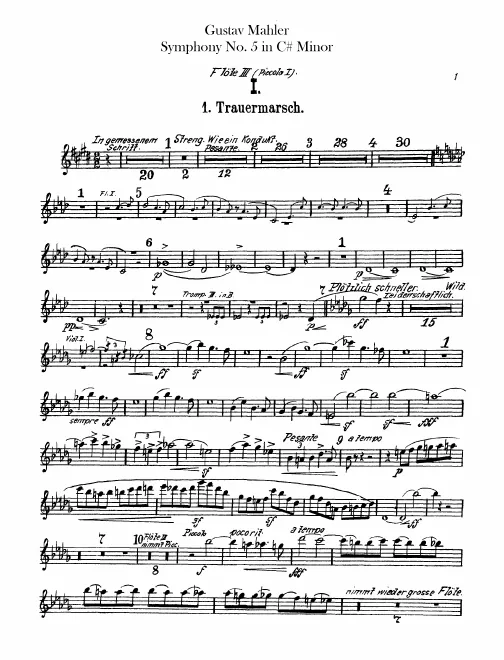 Flute 3/Piccolo 1