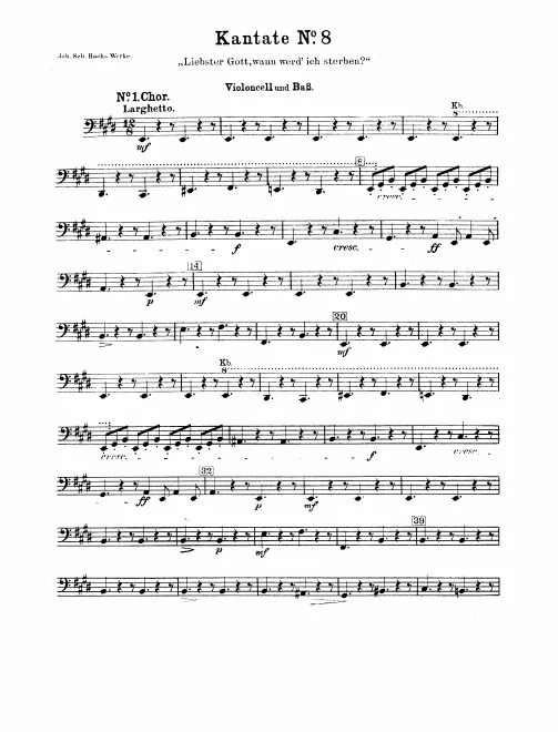 Cellos/Basses