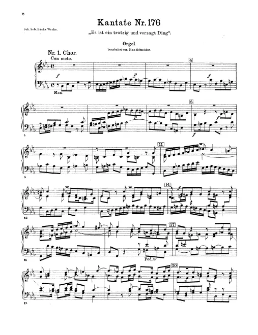 Organ