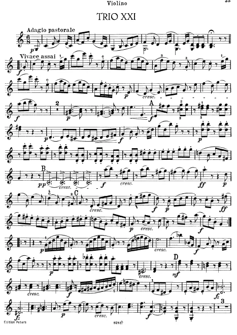 Violin