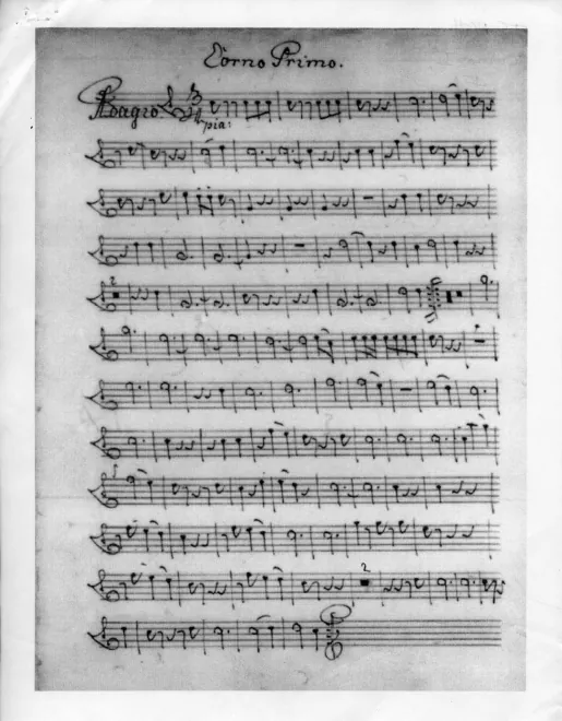 Horn 1