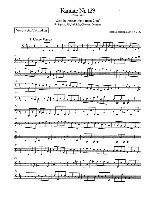 Cellos/Basses