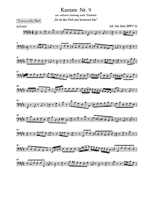 Cellos/Basses