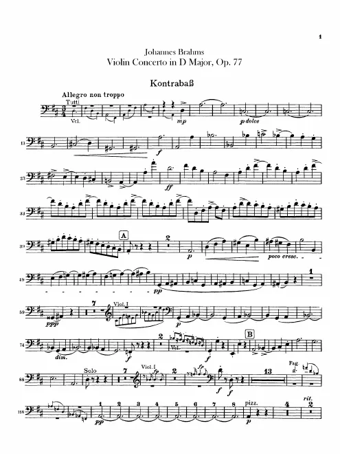 Basses