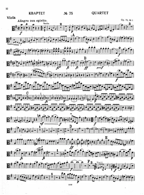 Viola