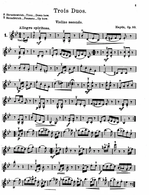 Violin 2