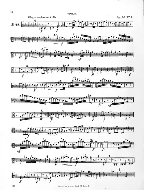 Viola