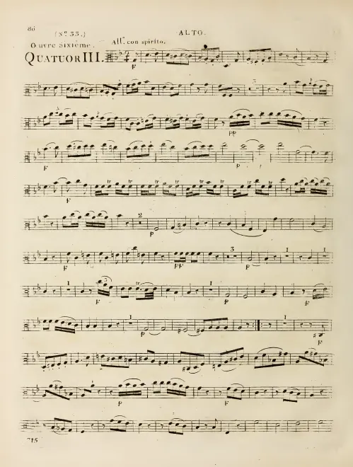 Viola