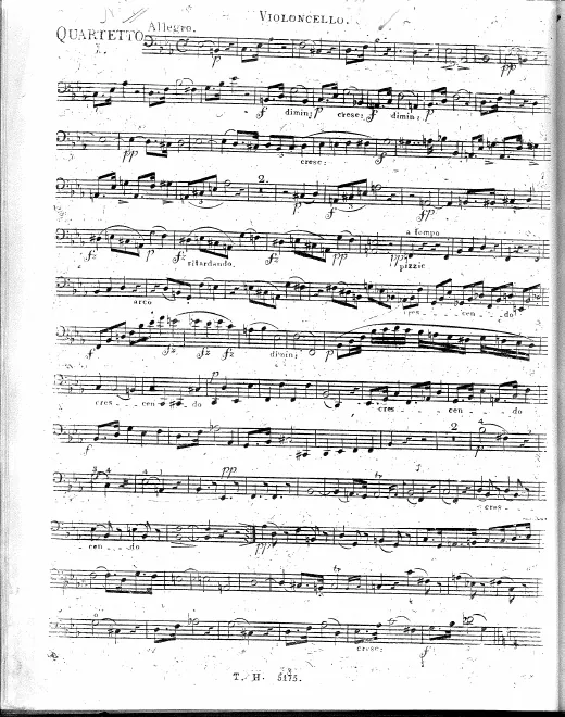 Cello