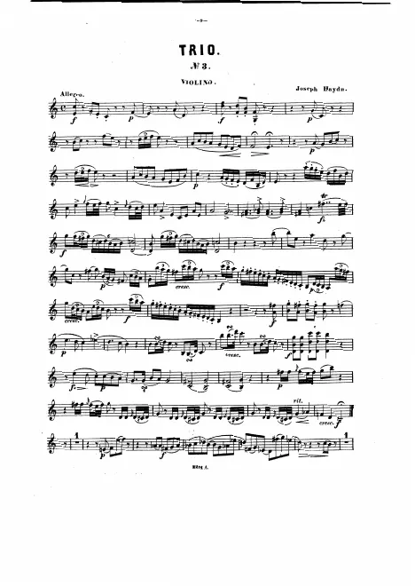 Violin