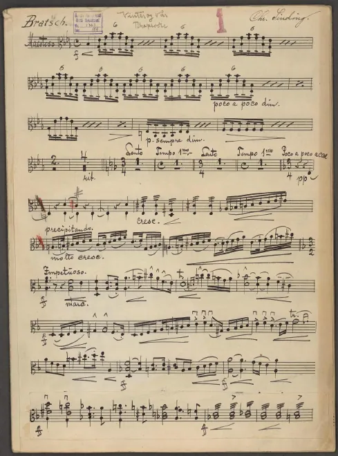 Violas