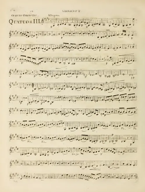 Violin 2